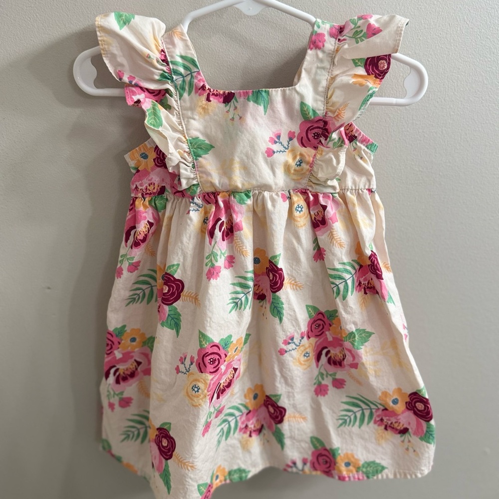 Ruffle Butts NWOT 18-24M Pink Floral Ruffle Dress